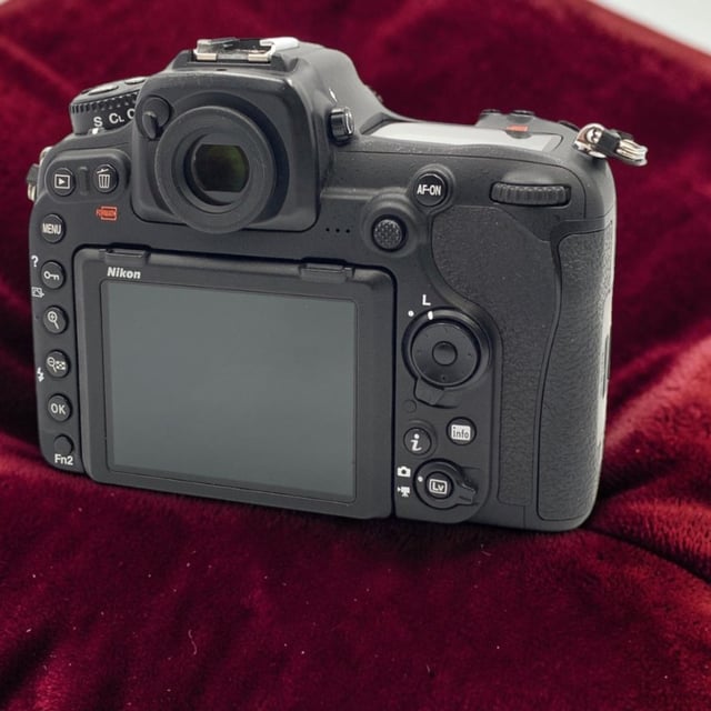 D500 ボディ