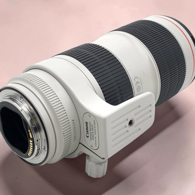FE 100-400mm F4.5-5.6 GM OSS SEL100400GM