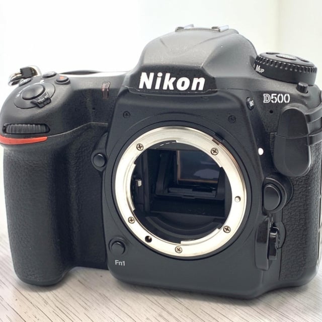D500 ボディ