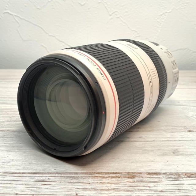 EF 100-400mm F4.5-5.6L IS II USM