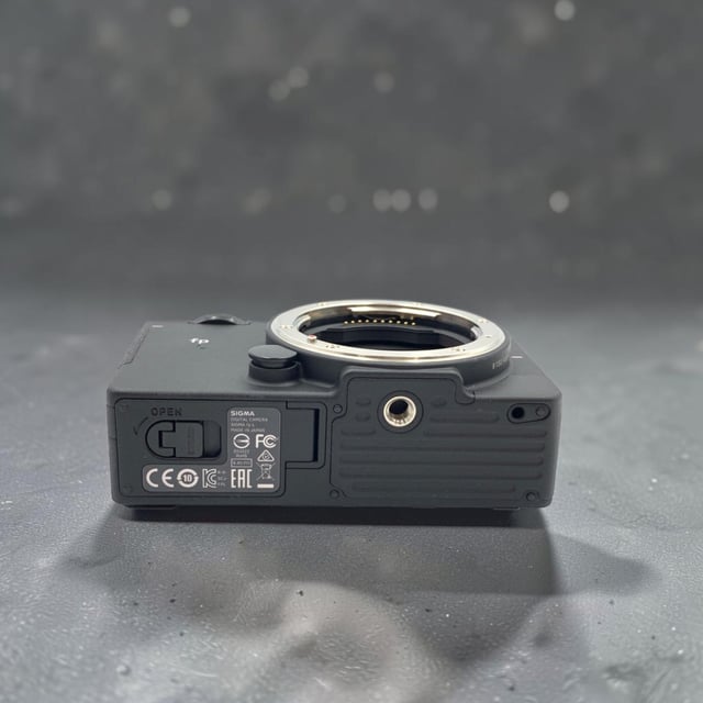 SIGMA fp L ボディ