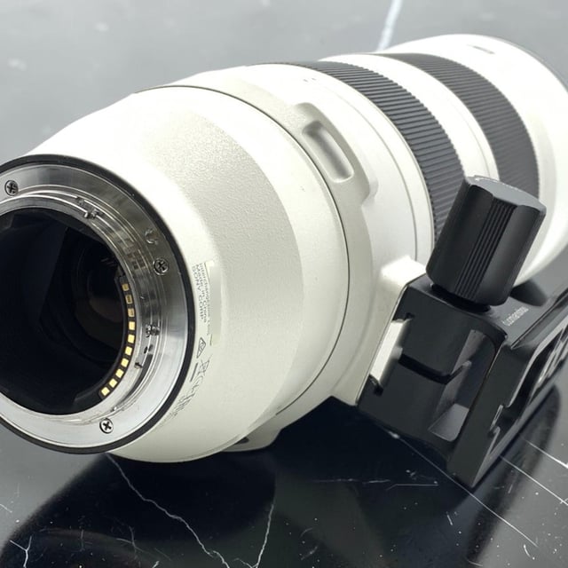 FE 200-600mm F5.6-6.3 G OSS SEL200600G