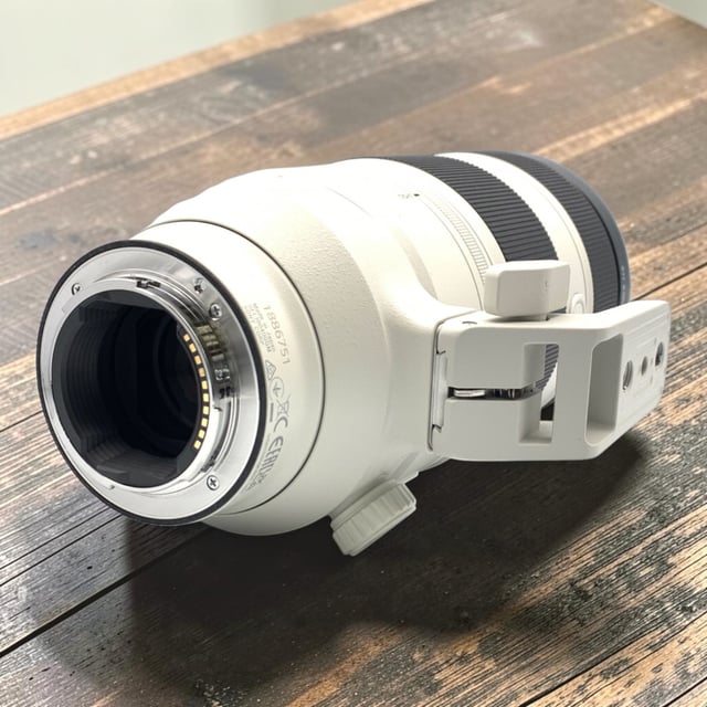 FE 100-400mm F4.5-5.6 GM OSS SEL100400GM