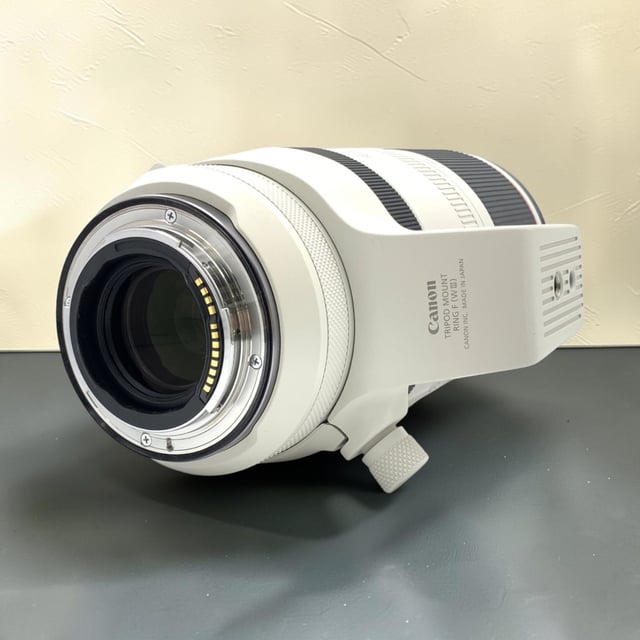 RF 100-500mm F4.5-7.1 L IS USM