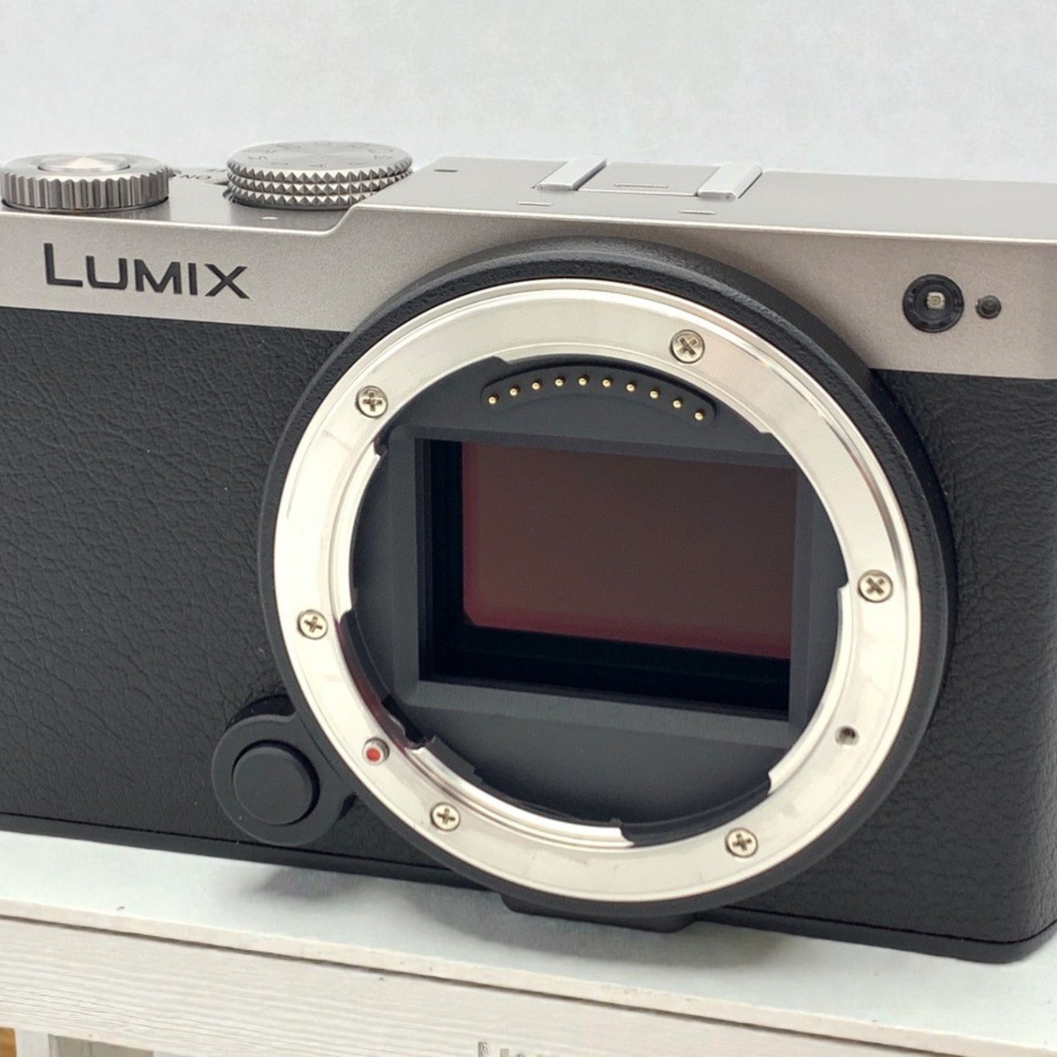 パナソニック LUMIX S9(DC-S9) ボディ 