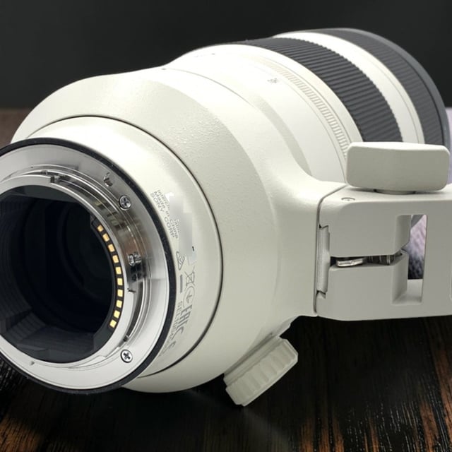 FE 100-400mm F4.5-5.6 GM OSS SEL100400GM