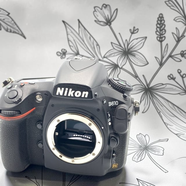D810 ボディ