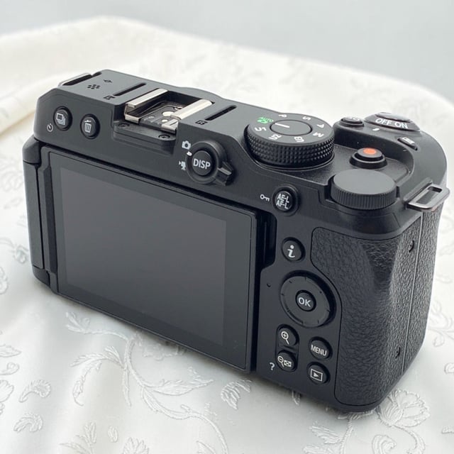 Z30 ボディ