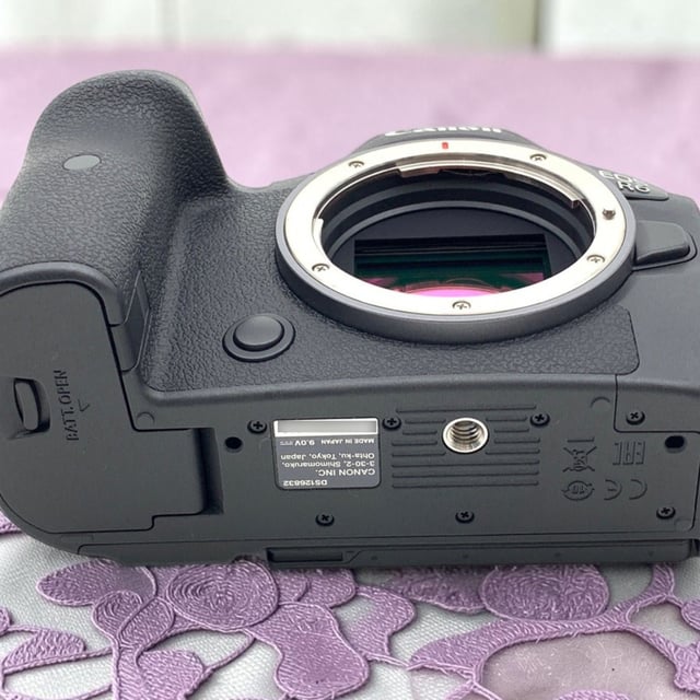 EOS R6 ボディ