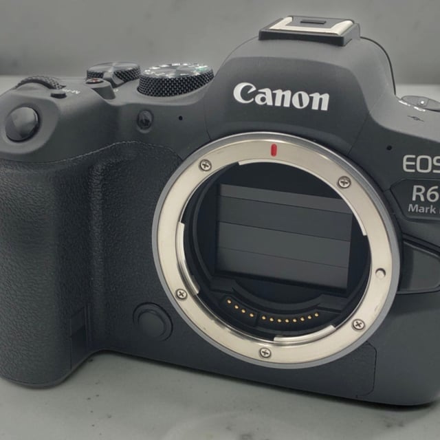 EOS R6 Mark II ボディ