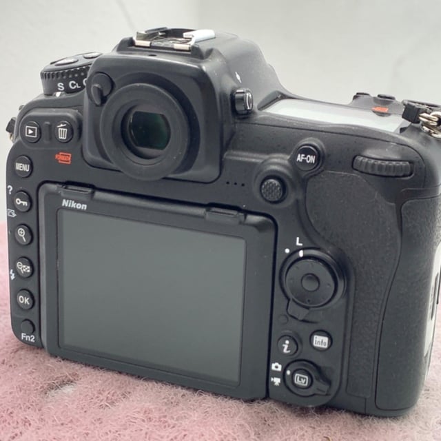 D500 ボディ