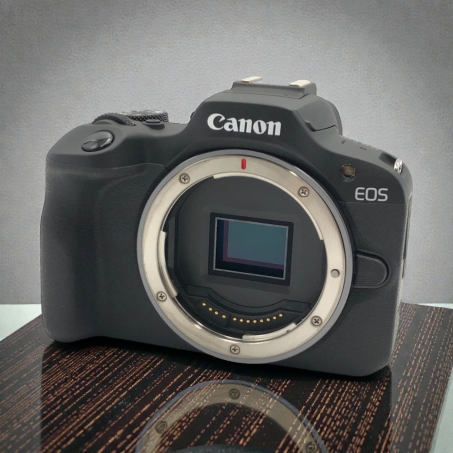 Canon EOS R100 ボディの中古 (美品)・¥62,590 | みんなのカメラ