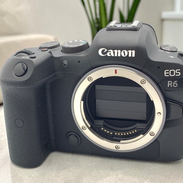 EOS R6 ボディ