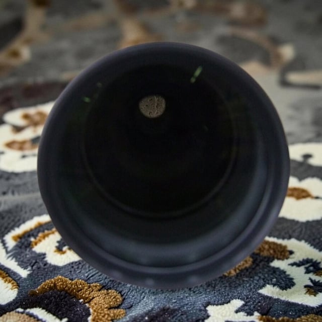 RF 200-800mm F6.3-9 IS USM