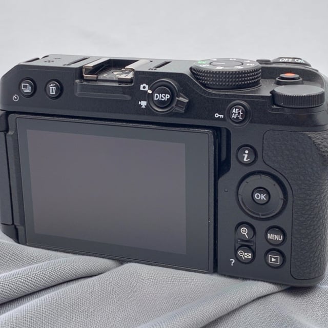 Z30 ボディ