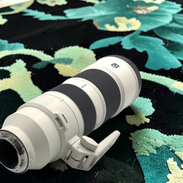 FE 200-600mm F5.6-6.3 G OSS SEL200600G