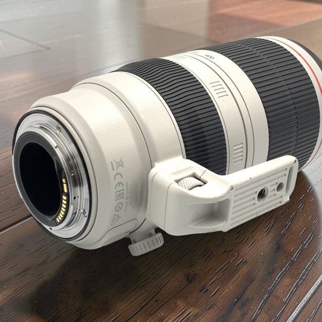 EF 100-400mm F4.5-5.6L IS II USM