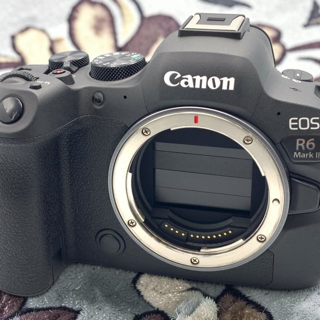EOS R6 Mark II ボディ