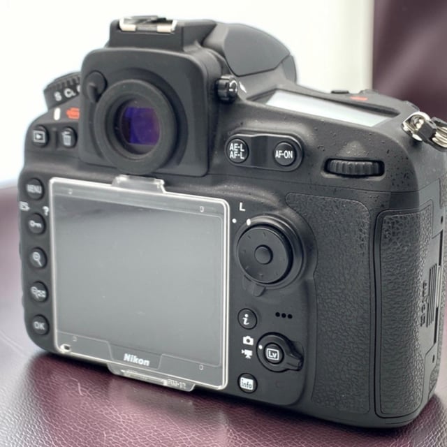 D810 ボディ