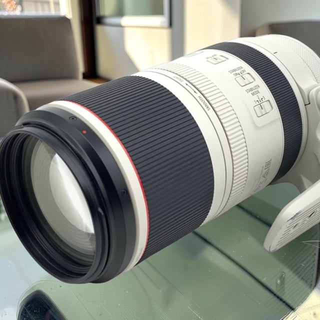 RF 100-500mm F4.5-7.1 L IS USM