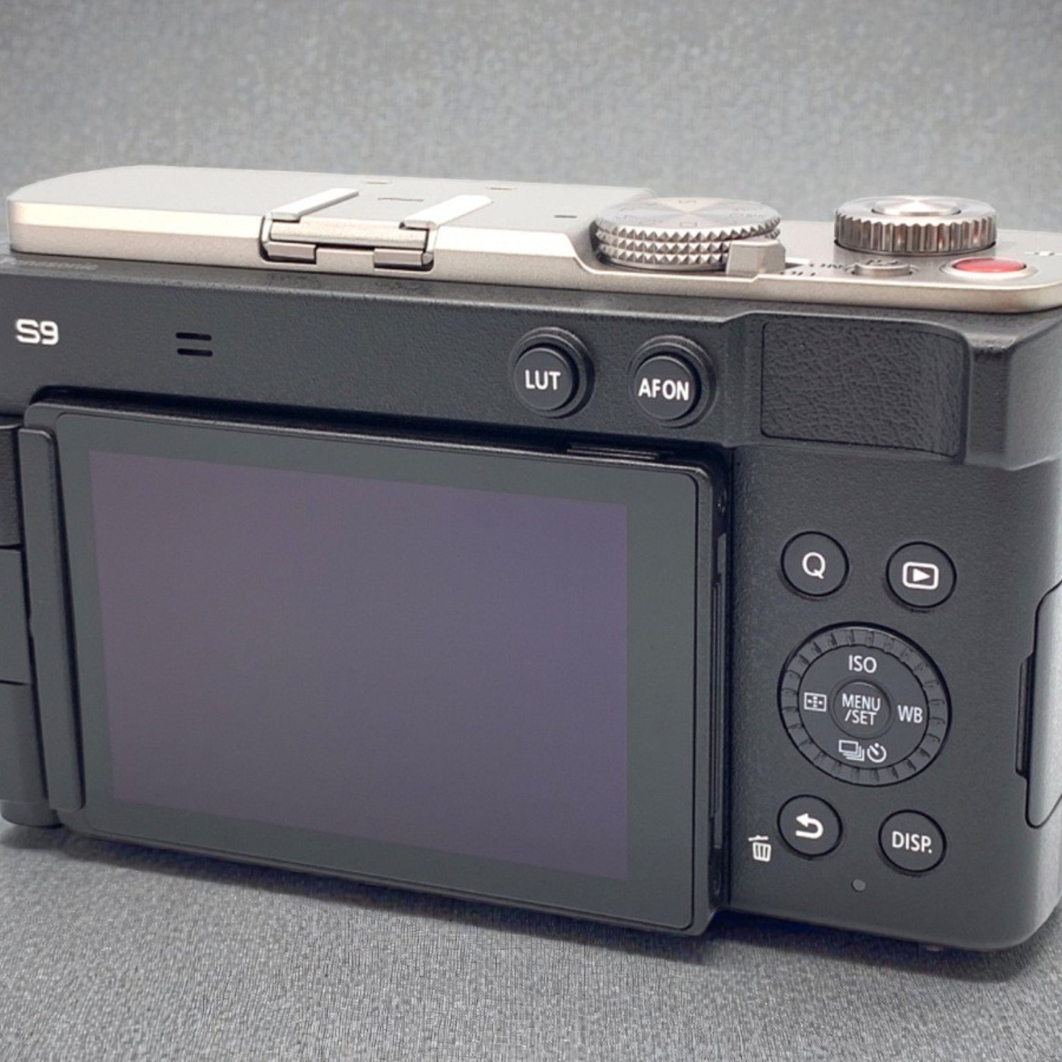 LUMIX S9(DC-S9) ボディ 