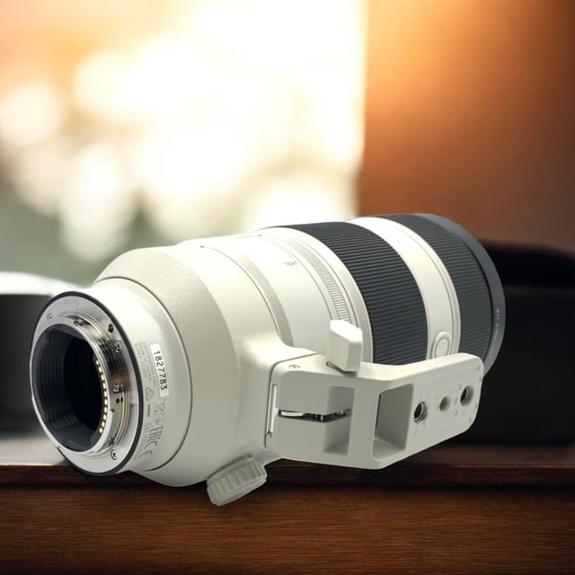 FE 100-400mm F4.5-5.6 GM OSS SEL100400GM