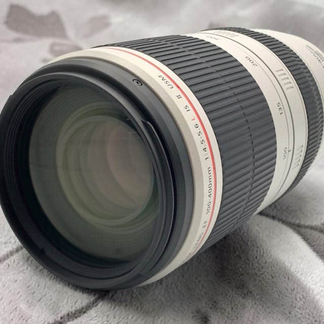 EF 100-400mm F4.5-5.6L IS II USM