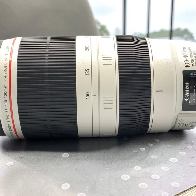 EF 100-400mm F4.5-5.6L IS II USM