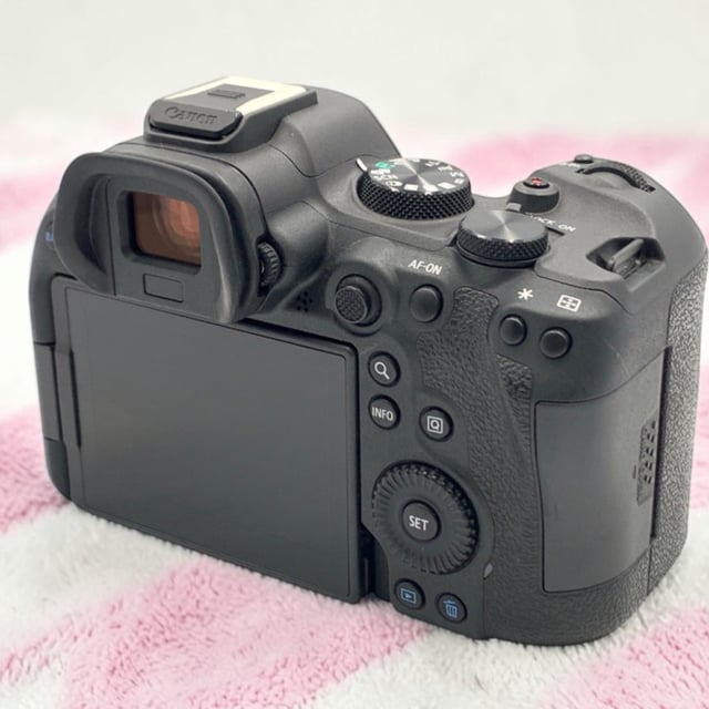 EOS R6 Mark II ボディ