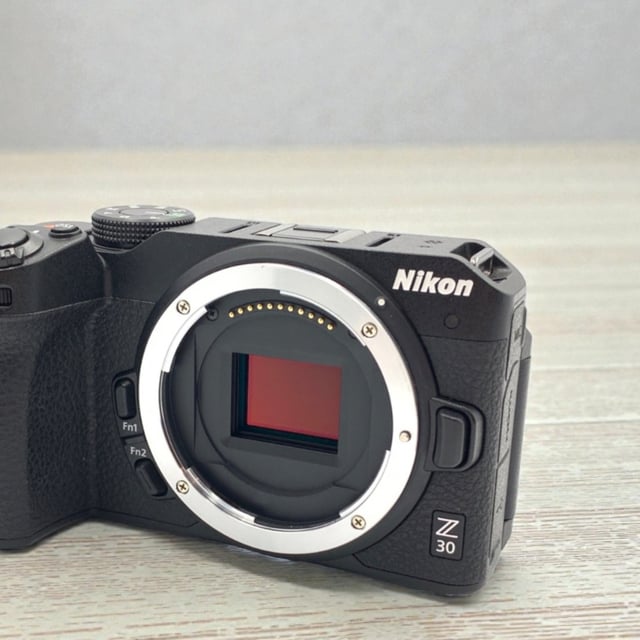 Z30 ボディ