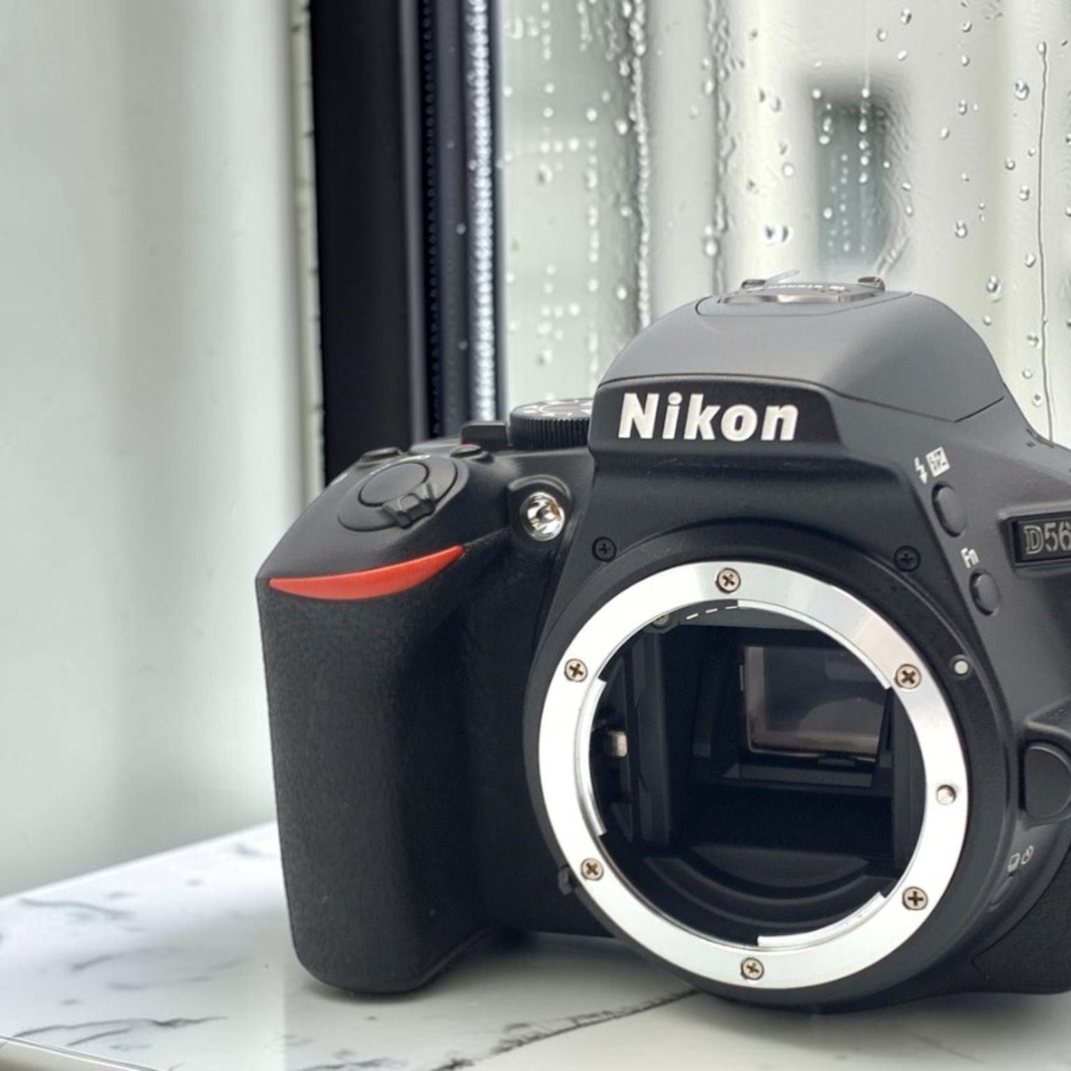 ニコン D5600 ボディの新品/中古の在庫一覧 | みんなのカメラ