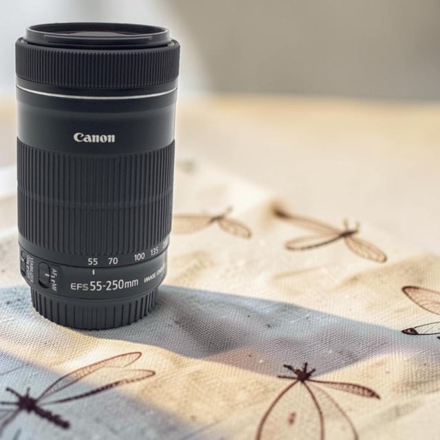 EF-S55-250mm F4-5.6 IS STM