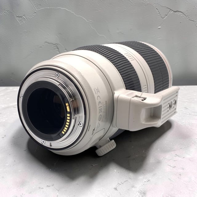 EF 100-400mm F4.5-5.6L IS II USM