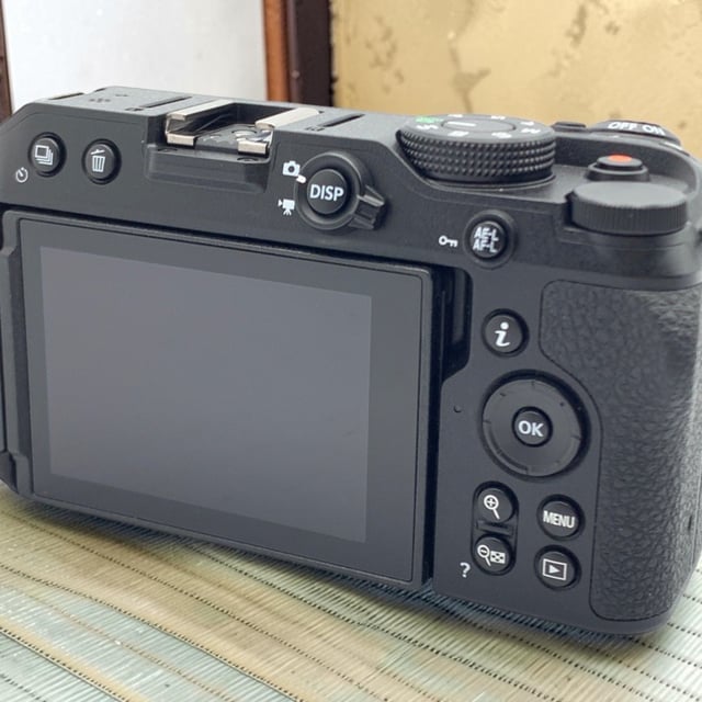 Z30 ボディ