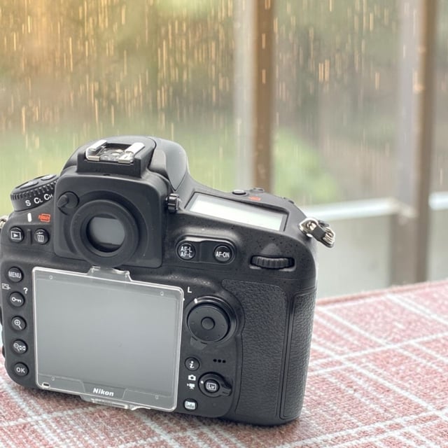 D810 ボディ