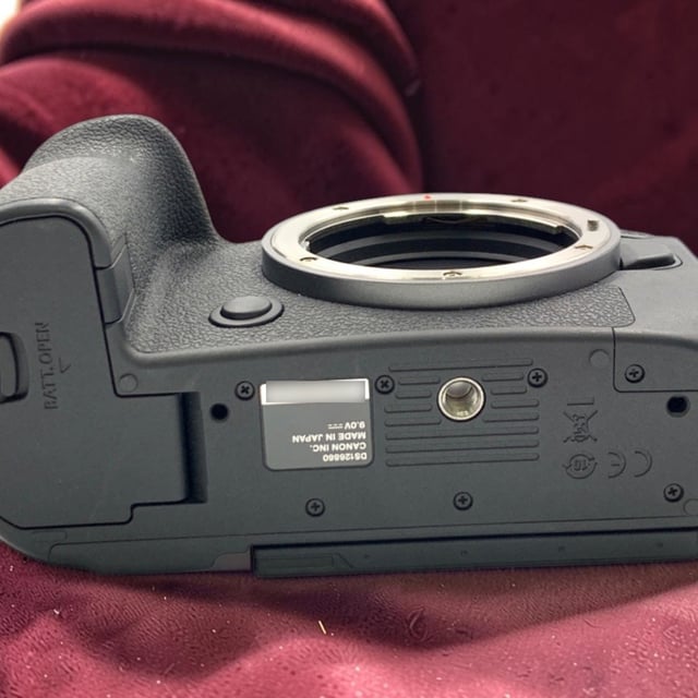 EOS R6 Mark II ボディ