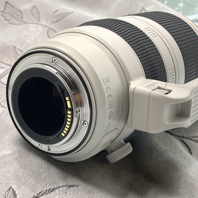 EF 100-400mm F4.5-5.6L IS II USM