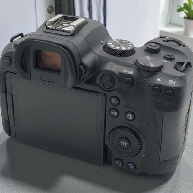 EOS R6 ボディ