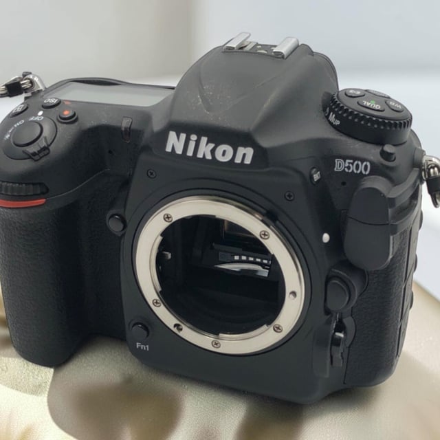 D500 ボディ