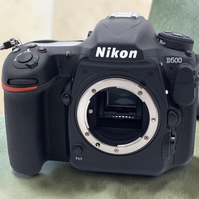 D500 ボディ