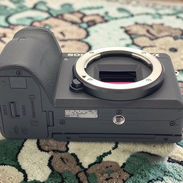 α6600 ILCE-6600 ボディ