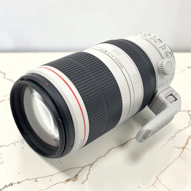 EF 100-400mm F4.5-5.6L IS II USM