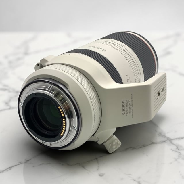 RF 100-500mm F4.5-7.1 L IS USM