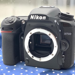 中古商品画像