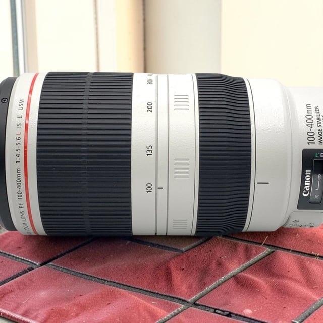 EF 100-400mm F4.5-5.6L IS II USM