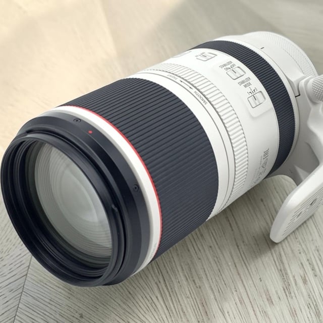 RF 100-500mm F4.5-7.1 L IS USM