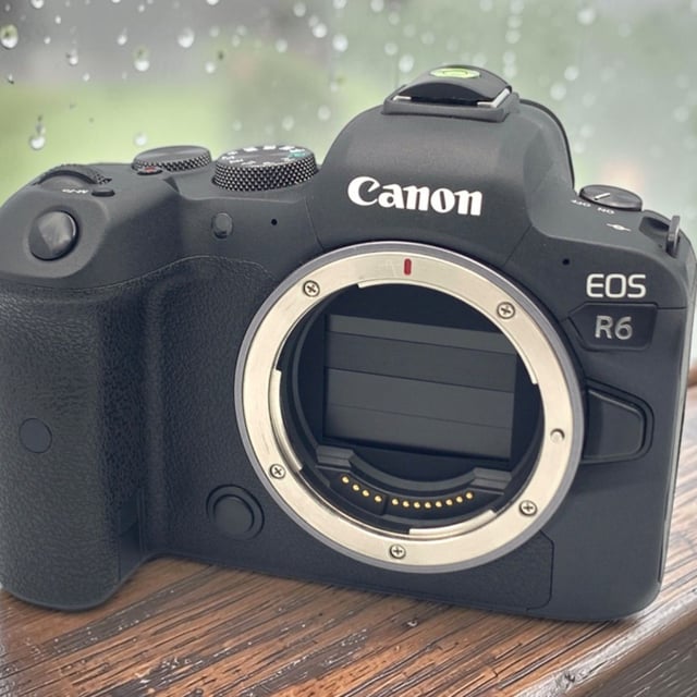 EOS R6 ボディ
