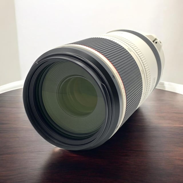 RF 100-500mm F4.5-7.1 L IS USM