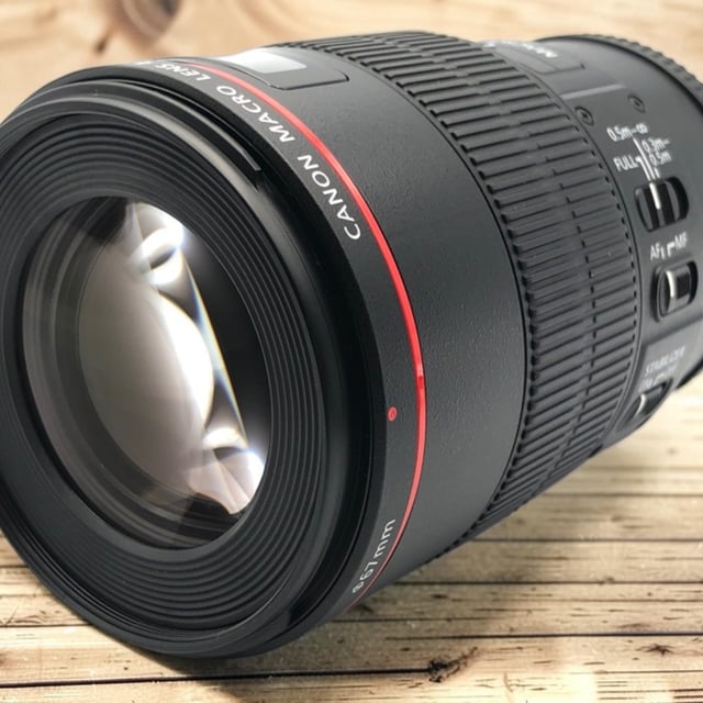 EF 100mm F2.8L マクロ IS USM