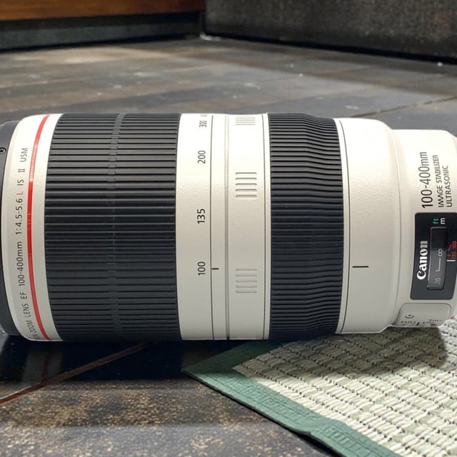 EF 100-400mm F4.5-5.6L IS II USM